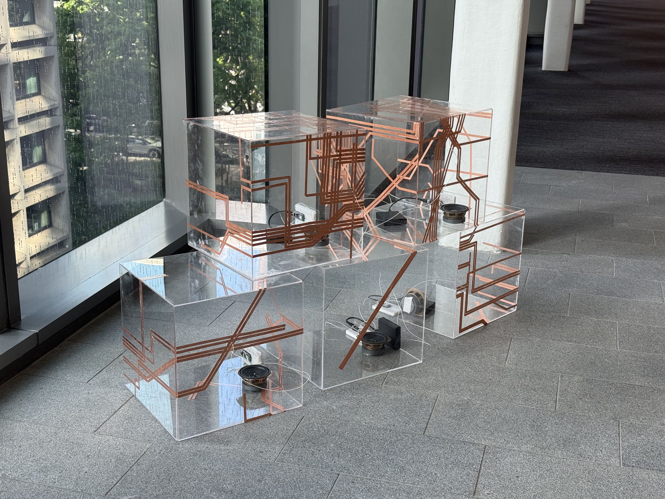 Installation view.