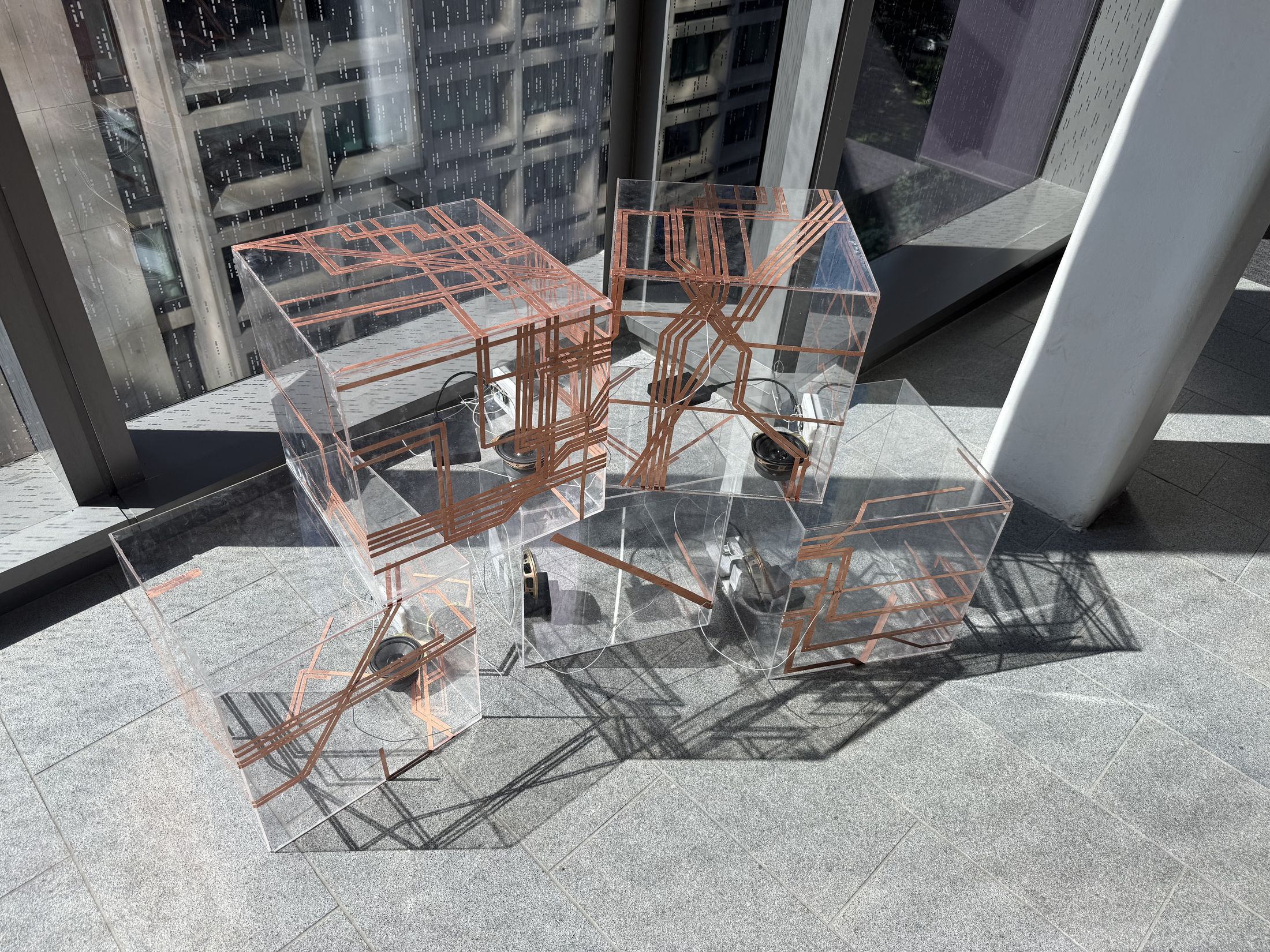 Installation view.