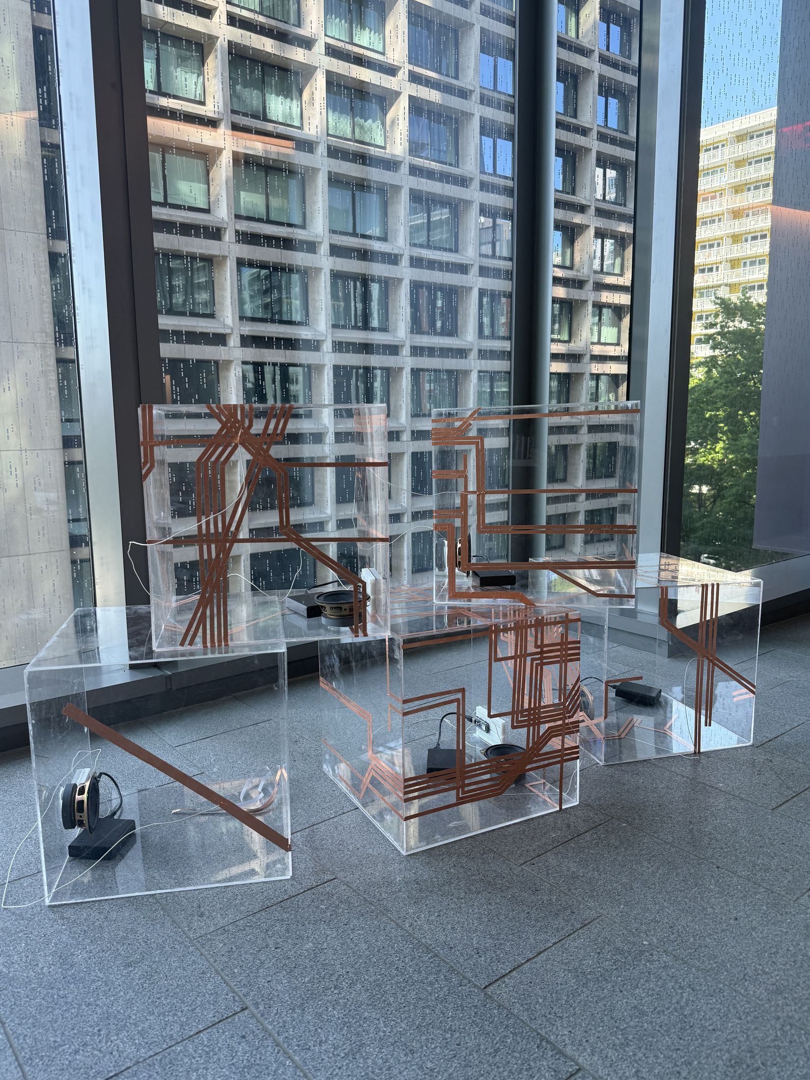 Installation view.